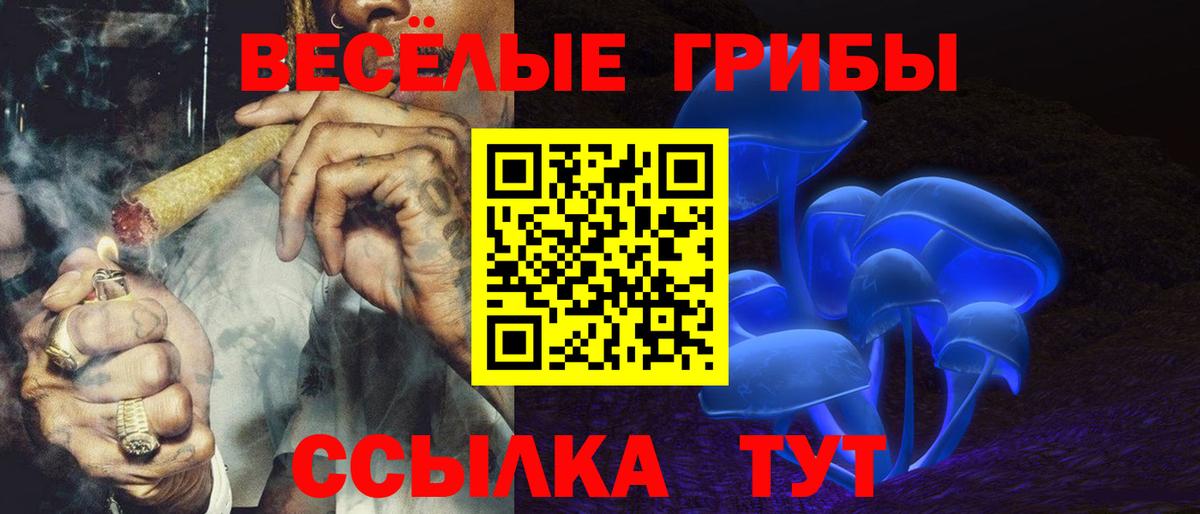 Псилоцибиновые грибы прущие грибы Сосновый Бор